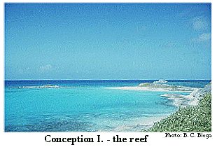 Conception I. reef