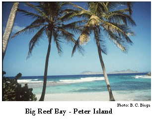 Peter Island