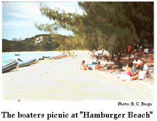 Boaters picnic