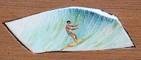 surfer 